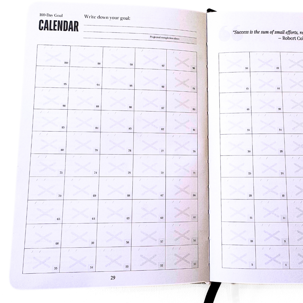 100-Day Goal Daily Planner
